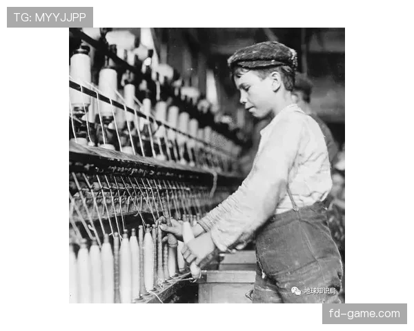 梅里诺羊毛技术驱动纺织业革新，赋能轻盈保暖产品持续升级